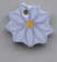 86367.jpg - 1106 Bytes