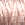 1011.jpg - 848 Bytes