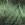 1834.jpg - 827 Bytes