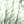 1841.jpg - 787 Bytes
