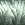 1842.jpg - 855 Bytes