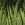 2115.jpg - 851 Bytes