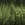 2116.jpg - 817 Bytes