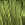 2125.jpg - 857 Bytes