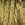 2134.jpg - 873 Bytes