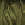 2136.jpg - 831 Bytes
