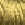 2211.jpg - 862 Bytes
