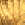 2234.jpg - 868 Bytes