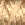 2242.jpg - 875 Bytes