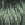 3425.jpg - 848 Bytes