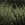 3725.jpg - 808 Bytes