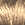3814.jpg - 863 Bytes