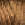 3826.jpg - 851 Bytes