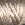 3831.jpg - 860 Bytes