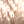 4111.jpg - 797 Bytes