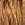 4516.jpg - 883 Bytes