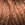 4546.jpg - 861 Bytes