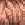4611.jpg - 881 Bytes