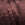 4626.jpg - 791 Bytes