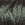 5025.jpg - 815 Bytes