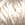 creme.jpg - 842 Bytes