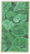 RishfeldDSR-13.jpg - 5280 Bytes